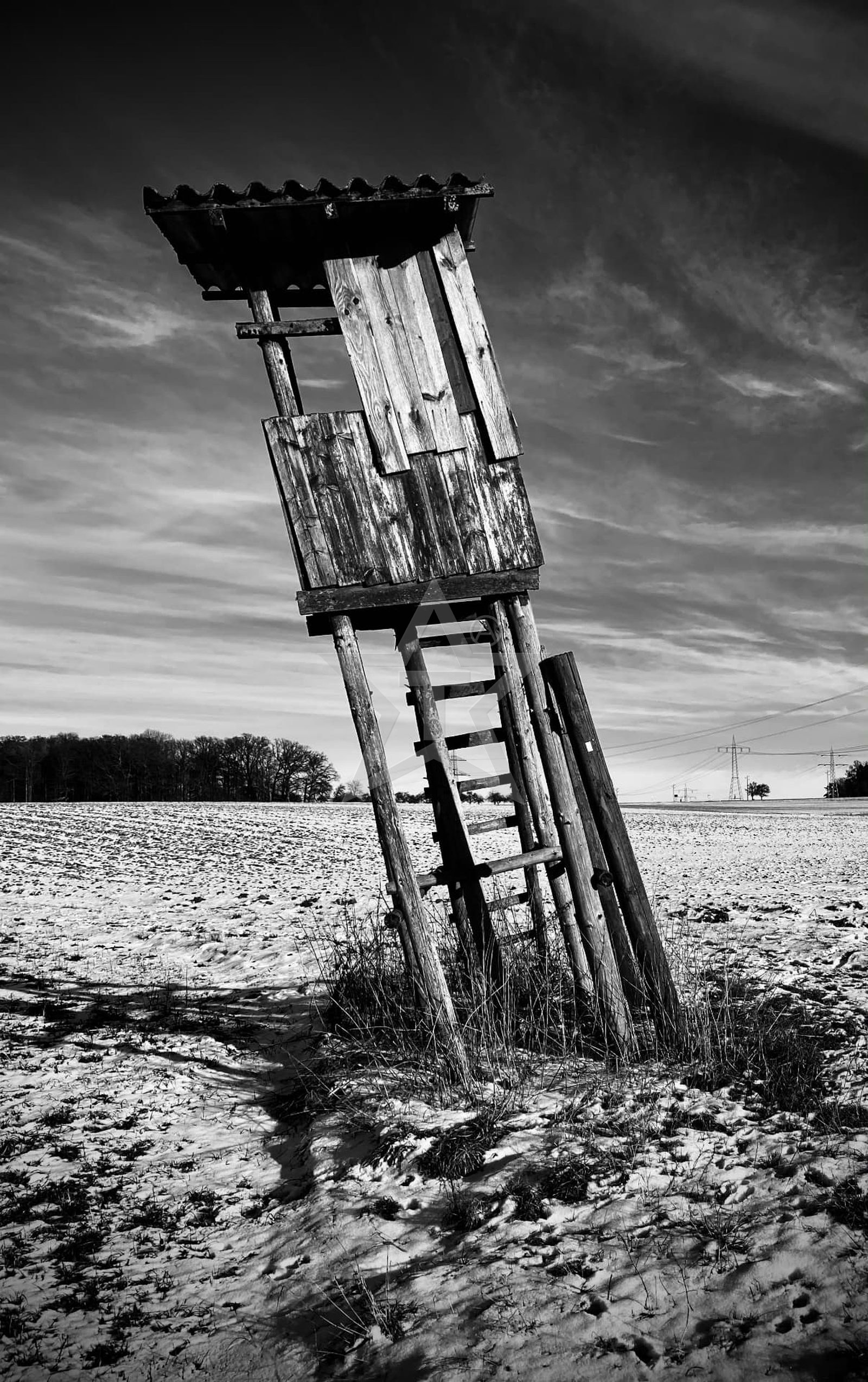 HIGH SEAT (2025) – Fotografie von Thomas Anderer, Fine Art Fotografie, 63 × 100 cm